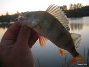 1-IMG_0074.JPG