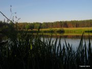 1-IMG_0136.JPG
