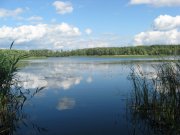IMG_3921.JPG