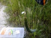 180620122331.jpg