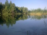 180620122335.jpg