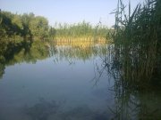 180620122336.jpg
