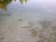 180620122337.jpg