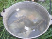 DSCF0573.JPG