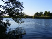 DSCF0574.JPG