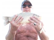 SAM_0647.jpg