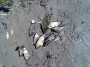 17062012523.jpg
