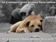 дом.jpg