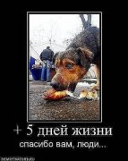 +5 дней.jpg