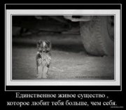 любящее тебя.jpg