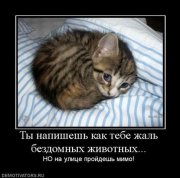 ты напишешь.jpg