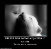 страницы.jpg