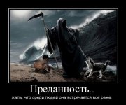 преданность.jpg
