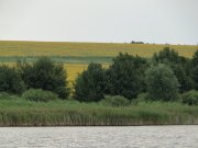 DSC03089.jpg