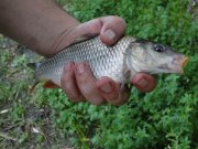 DSC03107.jpg