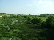 DSC02867.jpg