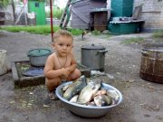 23062012768.jpg