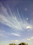 Фото0214.jpg