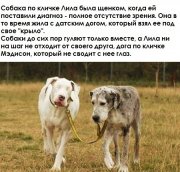 1339959066_mbb[1].jpg