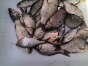 IMG_20120626_113822.jpg