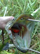 26062012963.jpg