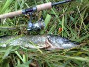 26062012968.jpg