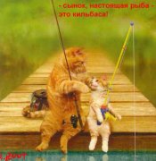 stopme_ru_58_0_20070115_11605_3[1].jpg