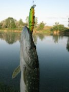 IMG_2990.JPG