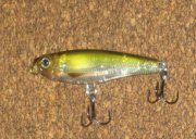 SPRAT STICK 45 (2).JPG