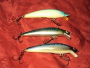 DSC04576.JPG