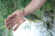IMG_8422.jpg