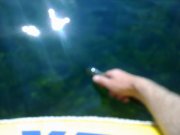300620122382.jpg