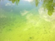 300620122383.jpg