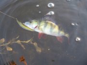 IMG_0646.JPG