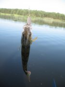 IMG_0651.JPG