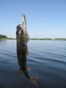 IMG_0654.JPG