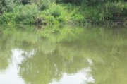 100_1089.jpg