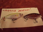 DSC04597.JPG