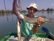 07072012917.jpg