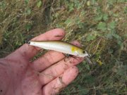 IMG_0638.jpg