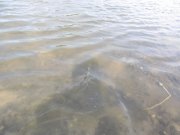 IMG_0639.jpg