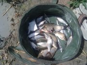 08072012533.jpg