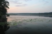 IMG_9343.jpg