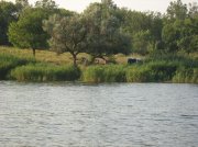 шахтар 08.07.2012 005.jpg