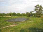 1-IMG_0021.jpg