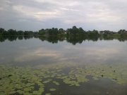 110720122417.jpg
