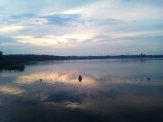 IMAG0478.jpg