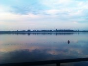 IMAG0481.jpg