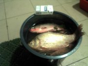 IMG_20120715_000106.jpg