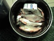 IMG_20120715_000152.jpg